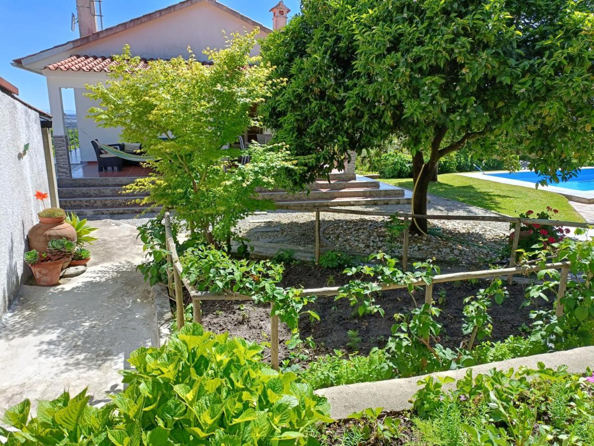 Вилла Casa Da Gardunha Corticada  Экстерьер фото