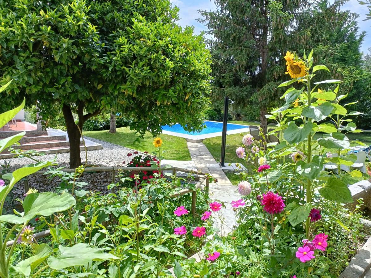 Вилла Casa Da Gardunha Corticada  Экстерьер фото